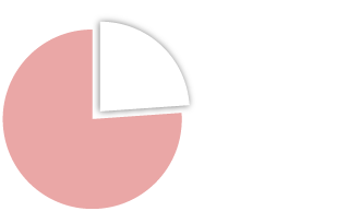 マーケットシェア首位24%