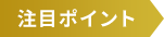 注目ポイント